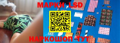 стаф Можга
