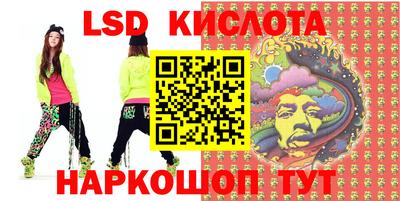 стаф Можга