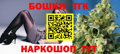 стаф Можга