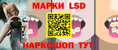 стаф Можга