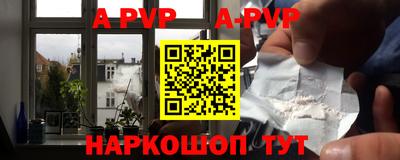 стаф Можга