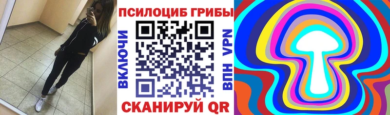 Псилоцибиновые грибы Psilocybine cubensis  Урай 