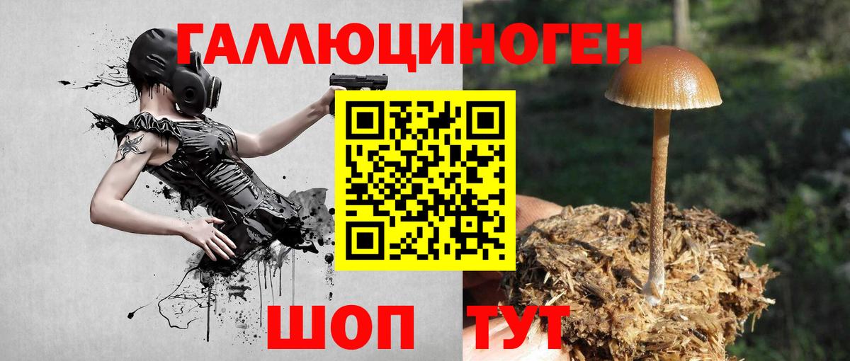 Галлюциногенные грибы мицелий  закладки  Урай  Вход с VPN 